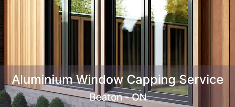  Aluminium Window Capping Service Beaton - ON