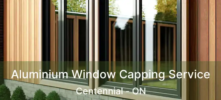  Aluminium Window Capping Service Centennial - ON