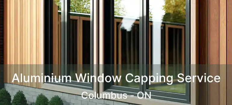  Aluminium Window Capping Service Columbus - ON