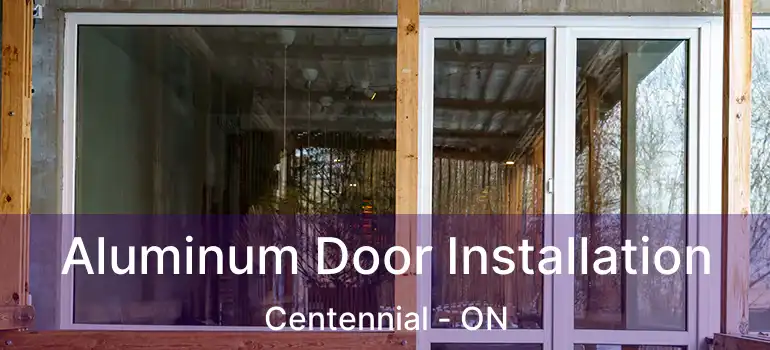  Aluminum Door Installation Centennial - ON