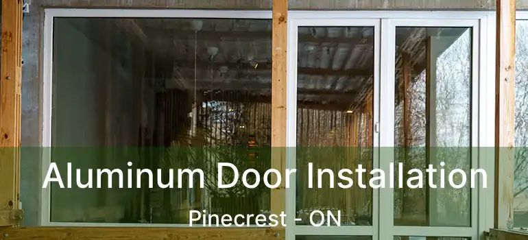  Aluminum Door Installation Pinecrest - ON