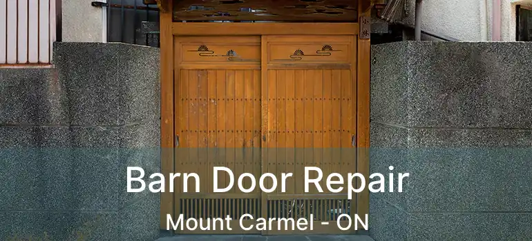  Barn Door Repair Mount Carmel - ON