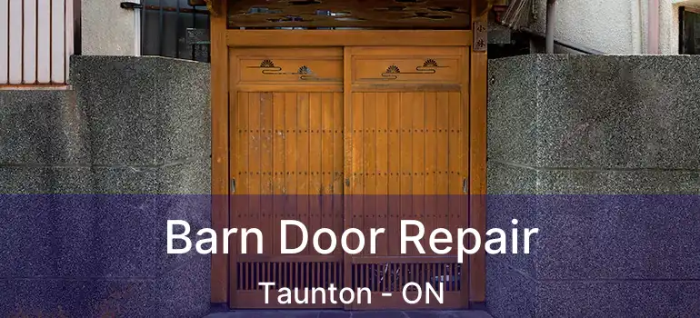Barn Door Repair Taunton - ON