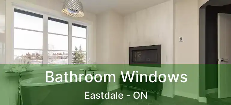 Bathroom Windows Eastdale - ON