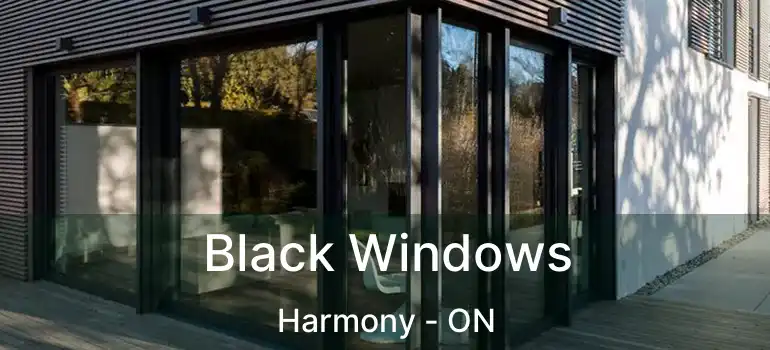  Black Windows Harmony - ON