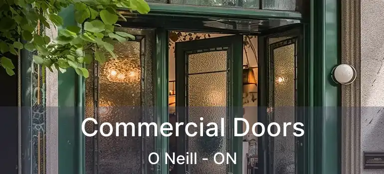  Commercial Doors O Neill - ON