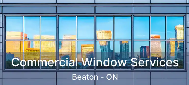 Commercial Window Services Beaton - ON