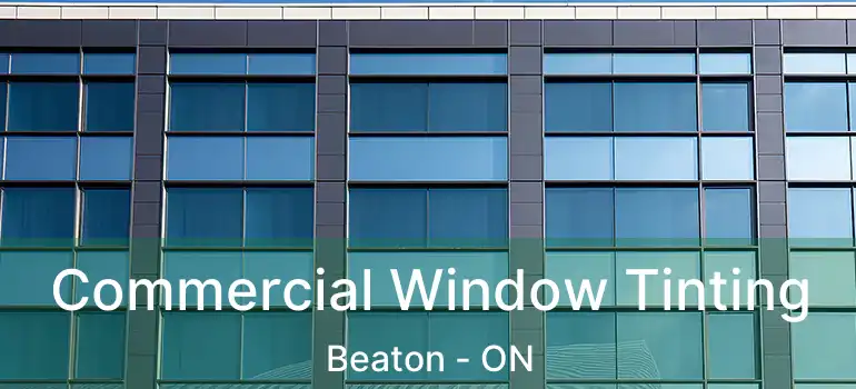 Commercial Window Tinting Beaton - ON