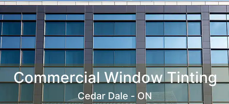 Commercial Window Tinting Cedar Dale - ON