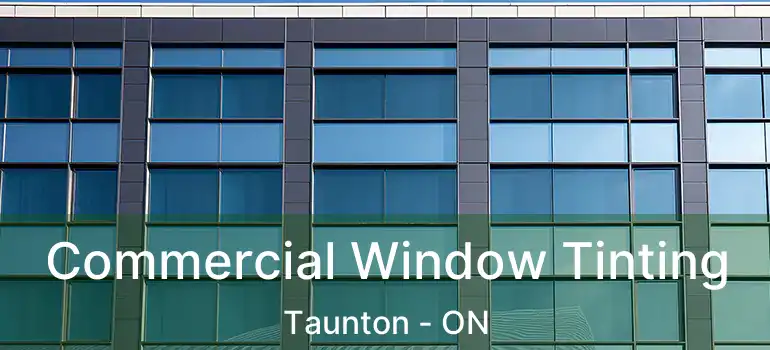 Commercial Window Tinting Taunton - ON