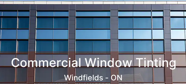 Commercial Window Tinting Windfields - ON
