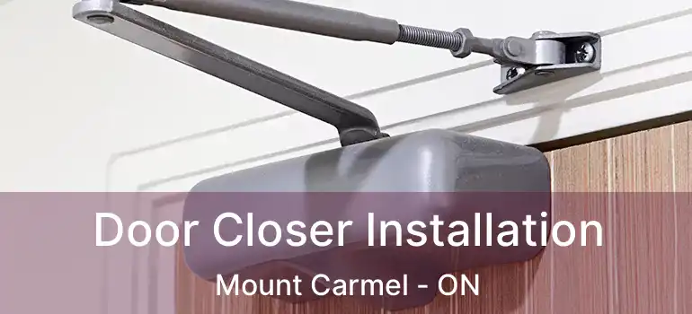 Door Closer Installation Mount Carmel - ON