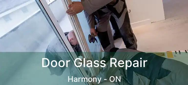  Door Glass Repair Harmony - ON