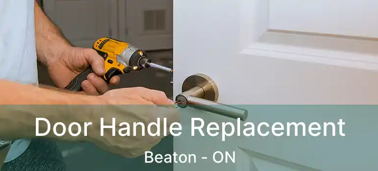  Door Handle Replacement Beaton - ON