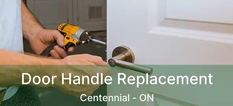  Door Handle Replacement Centennial - ON