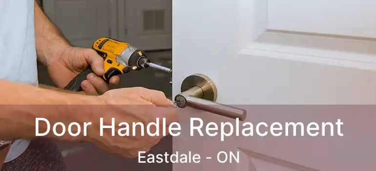  Door Handle Replacement Eastdale - ON