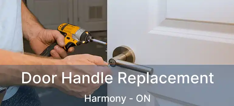Door Handle Replacement Harmony - ON