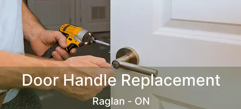 Door Handle Replacement Raglan - ON