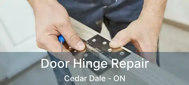 Door Hinge Repair Cedar Dale - ON