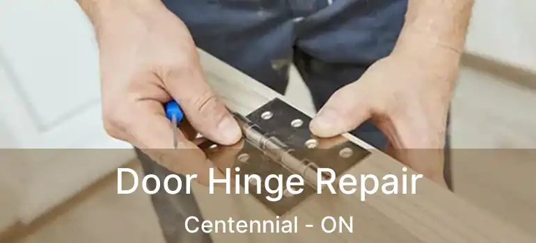Door Hinge Repair Centennial - ON
