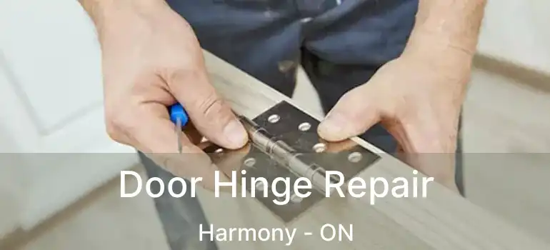  Door Hinge Repair Harmony - ON