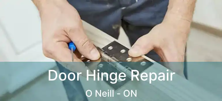 Door Hinge Repair O Neill - ON