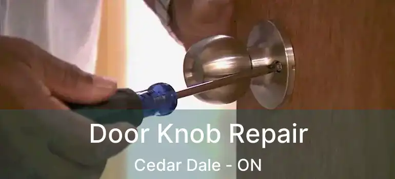  Door Knob Repair Cedar Dale - ON
