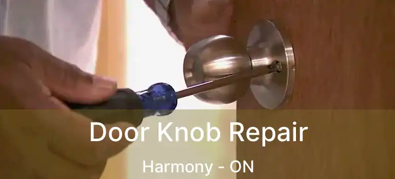  Door Knob Repair Harmony - ON