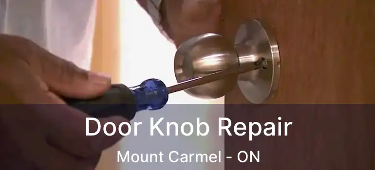 Door Knob Repair Mount Carmel - ON