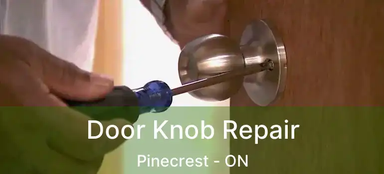 Door Knob Repair Pinecrest - ON