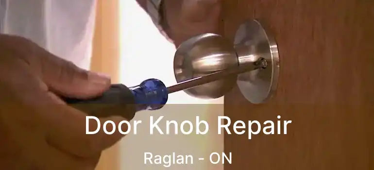 Door Knob Repair Raglan - ON