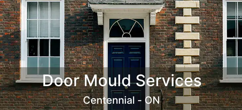  Door Mould Services Centennial - ON