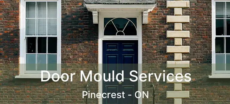  Door Mould Services Pinecrest - ON