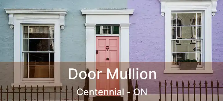 Door Mullion Centennial - ON