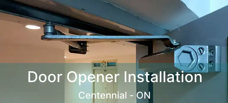  Door Opener Installation Centennial - ON