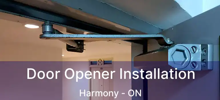 Door Opener Installation Harmony - ON