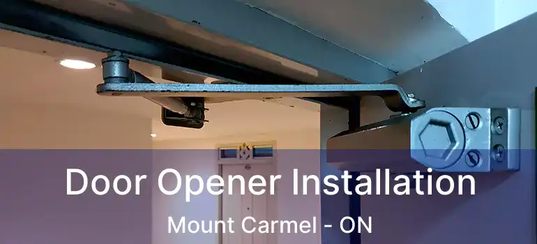  Door Opener Installation Mount Carmel - ON
