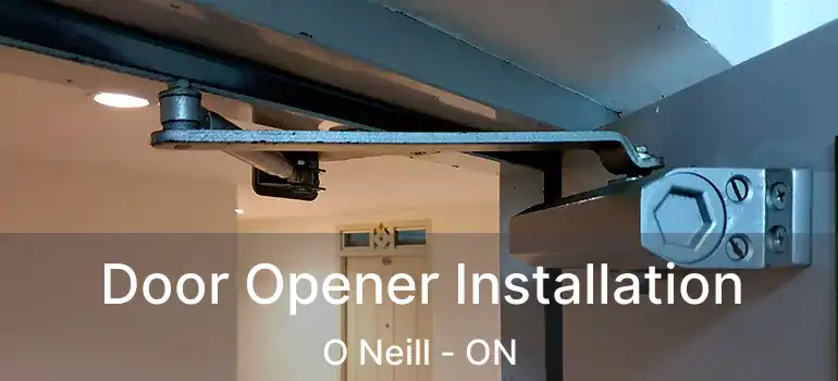  Door Opener Installation O Neill - ON