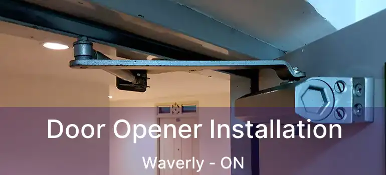  Door Opener Installation Waverly - ON