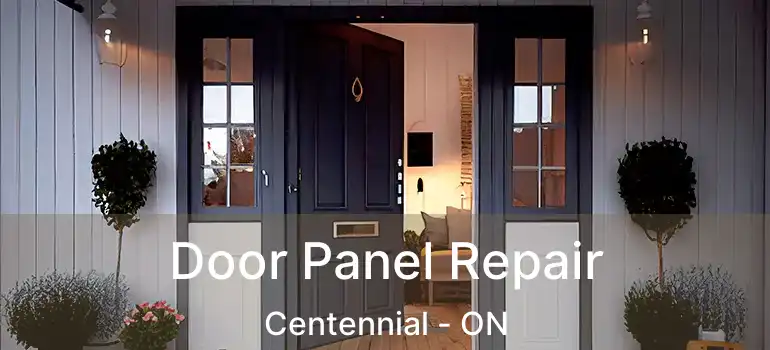 Door Panel Repair Centennial - ON