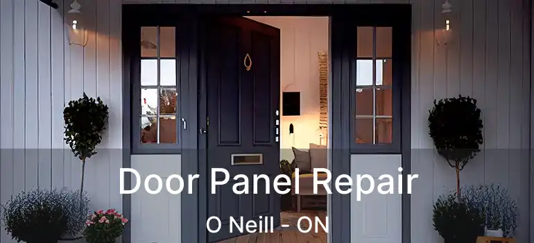 Door Panel Repair O Neill - ON
