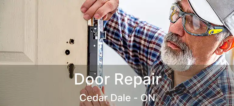 Door Repair Cedar Dale - ON