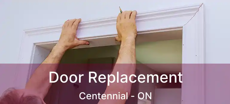  Door Replacement Centennial - ON