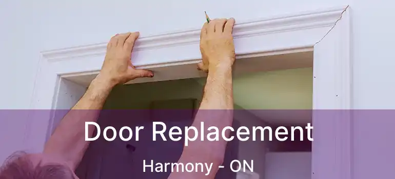  Door Replacement Harmony - ON