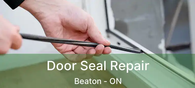  Door Seal Repair Beaton - ON