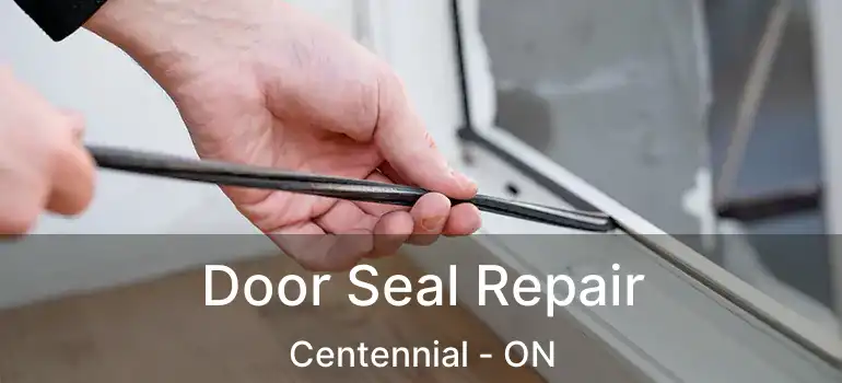  Door Seal Repair Centennial - ON