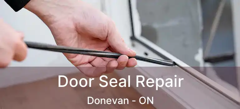Door Seal Repair Donevan - ON