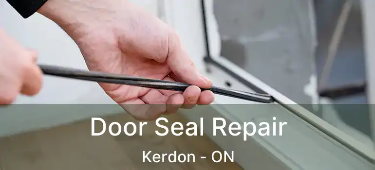 Door Seal Repair Kerdon - ON