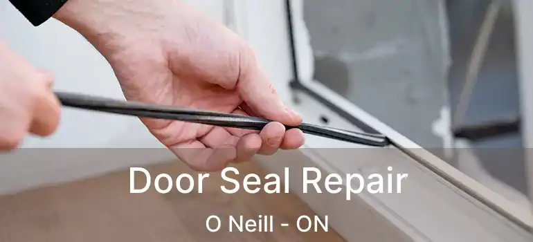  Door Seal Repair O Neill - ON