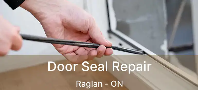  Door Seal Repair Raglan - ON